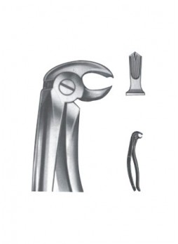Extracting Forceps